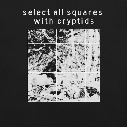 select all squares with cryptids bigfoot shirt flat lay